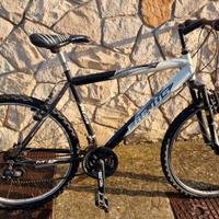 Bicicletta mountain bike