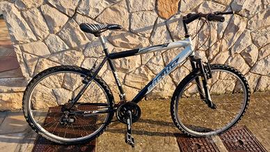 Bicicletta mountain bike