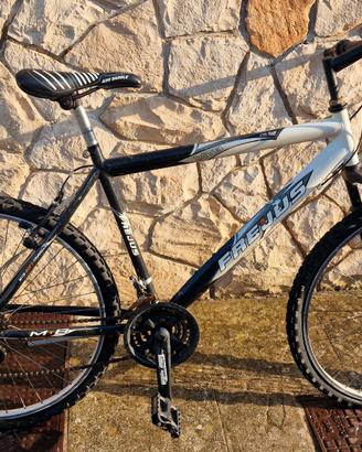Bicicletta mountain bike