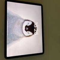 Apple iPad Pro 11 M1 1tb Wi-Fi + cellular siderale