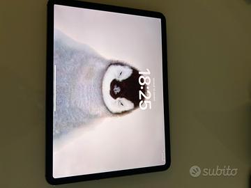 Apple iPad Pro 11 M1 1tb Wi-Fi + cellular siderale