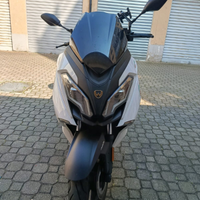 Wottam 300 storm S