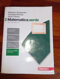 Libro superiori Matematica Verde 2
