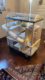 Gabbia per cincillà e conigli nani