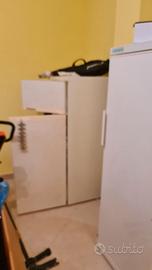 frigorifero e congelatore verticale