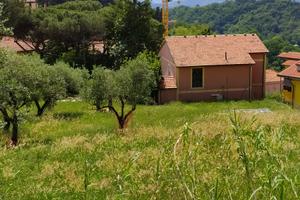 FALCINELLO DI SARZANA villa bifamigliare