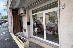 Cedersi attiv toelettatura per animali parioli RM