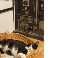 Cucina a legna grande