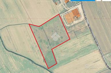 TER. AGRICOLO A SPELLO