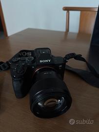 Sony a7SIII + 85mm f1.8