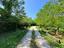 Immagine 11