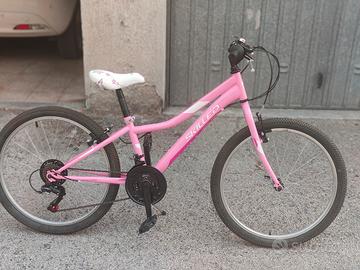 bicicletta 