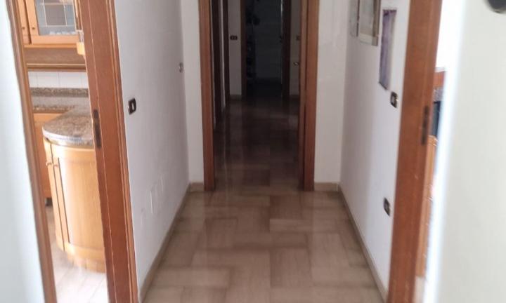 Vendita appartamento