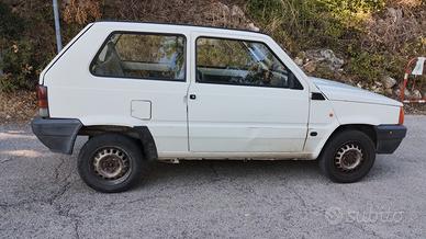 panda young 1100 ie del 2002