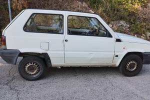 panda young 1100 ie del 2002