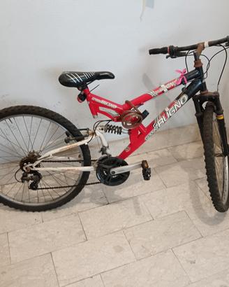 Mountain bike Gianni bugno