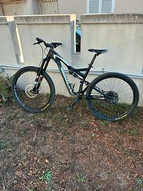Mtb 29 specialized biammortizzata  carbonio