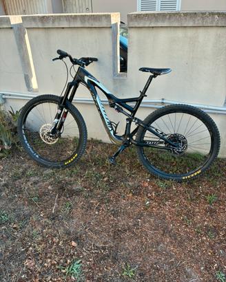 Mtb 29 specialized biammortizzata  carbonio