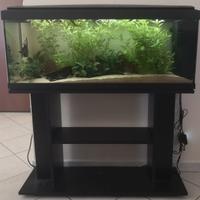 Acquario Milo 120 litri 
