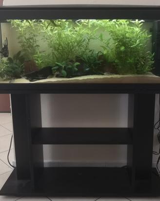 Acquario Milo 120 litri 