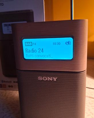 SONY RADIO DAB  XRD-V1BTD
