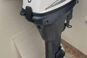 Motore Selva 8 ray gambo lungo