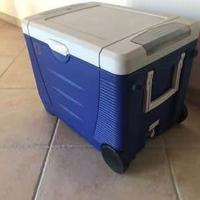 Freezer/contenitore termico portatile