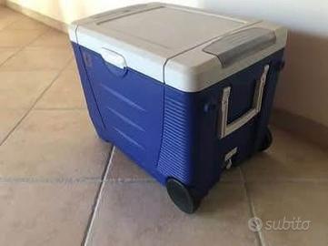 Freezer/contenitore termico portatile