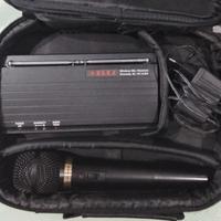 MICROFONO WIRELESS ELKA EL151HDV + JACK €50