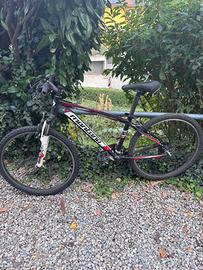 bicicletta montana
