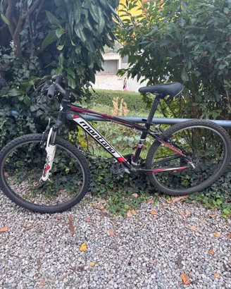 bicicletta montana