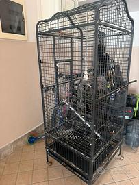 Gabbia per pappagallo