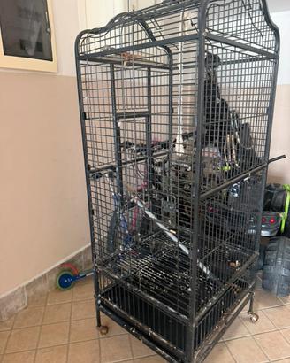 Gabbia per pappagallo