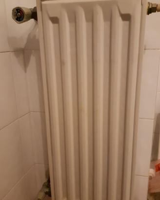 Termosifone acciaio