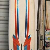 Tavola wind surf mistral take off