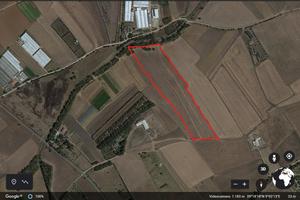 Assemini: terreno agricolo