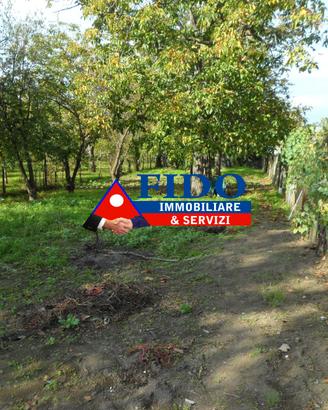Terreeno agricolo di 1000 mq