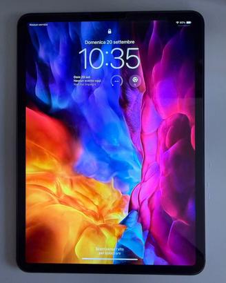 iPad Pro 11” 256GB Wi-Fi+Cellular + Apple Pencil 2