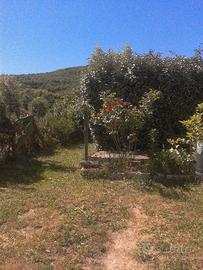 Casa in campagna tempio
