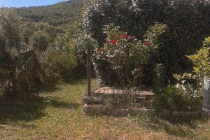 Casa in campagna tempio