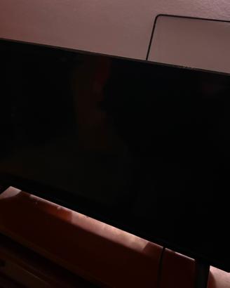Tv 24” senza telecomando