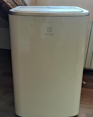 Condizionatore Portatile Electrolux