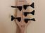 Immagine 5