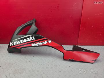 VASCA SINISTRA KAWASAKI NINJA 1000 2008 2010 ZX-10