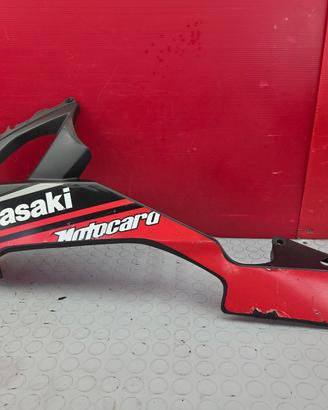 VASCA SINISTRA KAWASAKI NINJA 1000 2008 2010 ZX-10