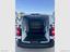 Immagine 7