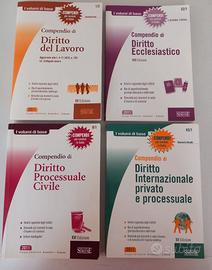 4 compendi di DIRITTO + OMAGGIO (Mosconi)