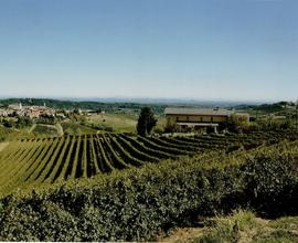 Azienda Agricola - Nizza Monferrato