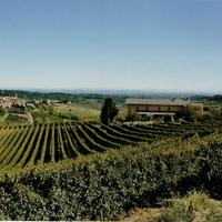 Casale, Vigna e uno splendido panorama