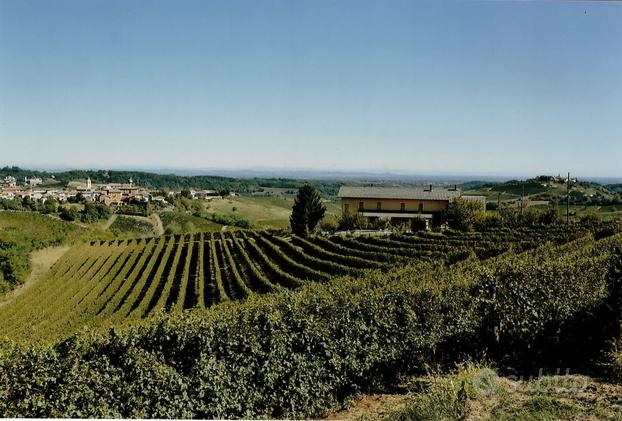 Azienda Agricola - Nizza Monferrato